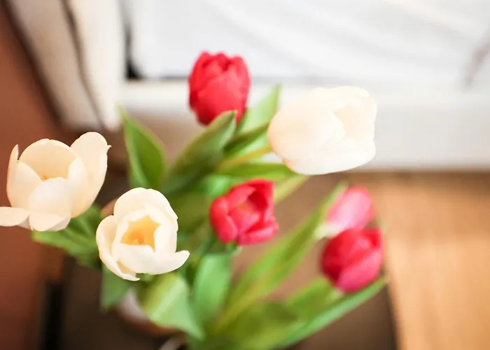 Ca Bela - Venini Milaan